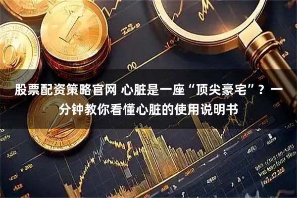 股票配资策略官网 心脏是一座“顶尖豪宅”？一分钟教你看懂心脏的使用说明书