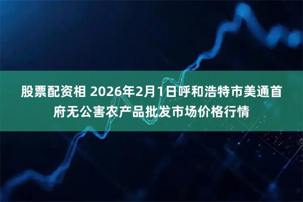 股票配资相 2026年2月1日呼和浩特市美通首府无公害农产品批发市场价格行情