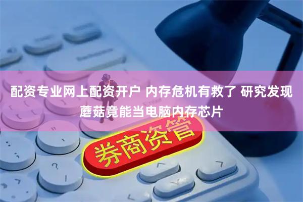 配资专业网上配资开户 内存危机有救了 研究发现蘑菇竟能当电脑内存芯片